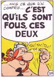 FouxC2.JPG